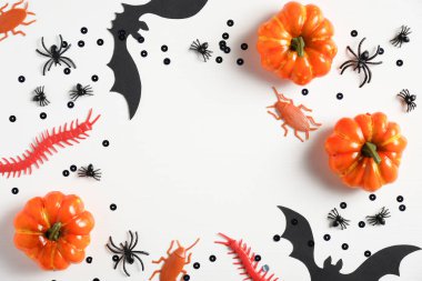 Cadılar Bayramı konsepti Pastel beyaz arka planda cadılar bayramı dekorasyonu çerçevesi. Turuncu balkabakları, ürkütücü örümcekler, yarasa, böcekler, konfeti. Kopyalama alanı olan üst görünüm. Cadılar Bayramı tebrik kartı modeli.