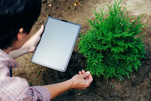 Mujer Agricultora Negocios Que Trabaja Tableta Jardín Vista Superior Agricultura — Foto de Stock