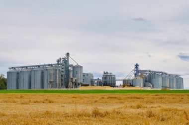 Granary asansörü. Tahıl depolama, kurutma, tarım ürünleri, un, tahıl ve tahıl için metal silolar. Tarım sektörü konsepti