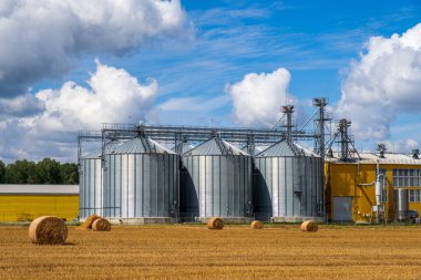 Granary asansörü. Zirai ürünlerin, unun, tahılın ve tahılın işlenmesi ve depolanması için tarım fabrikası.