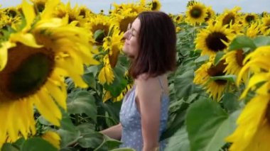 Mavi elbiseli neşeli genç kadın ayçiçeği tarlasında yürüyor, yaz günbatımının tadını çıkarıyor..