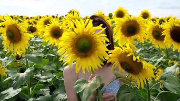 Joven Mujer Encantadora Divertirse Campo Girasoles Chica Feliz Alejando Girasol Video de stock