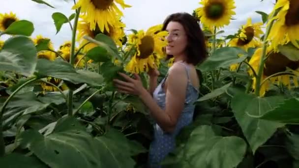 Joven Mujer Alegre Vestido Azul Caminando Través Del Campo Girasoles Video de stock libre de derechos