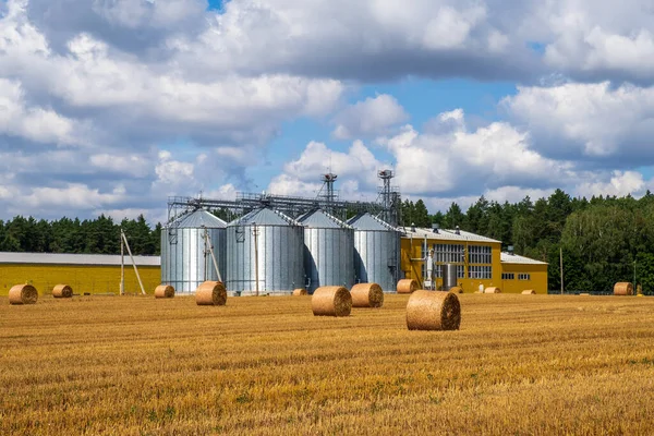 Silos Agrícolas Construção Para Armazenamento Secagem Grãos Trigo Milho Elevador — Fotografia de Stock