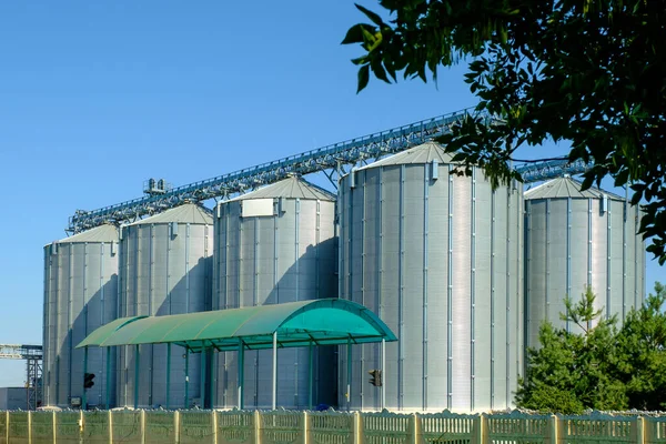 Landwirtschaftliche Silos Lagertanks Landwirtschaftliche Nutzpflanzen Verarbeitungsanlage Agrarunternehmenskonzept — Stockfoto