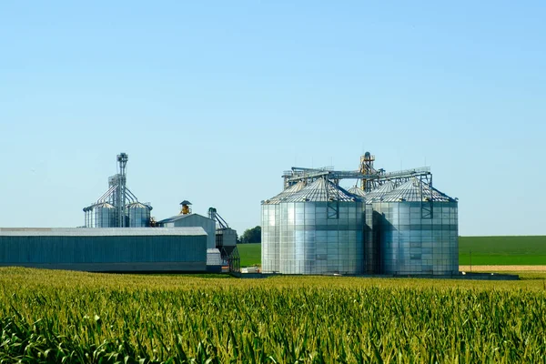 Mezőgazdasági Silos Gabonatermés Tárolására Szárítására Szolgáló Épület Modern Magtároló Lift — Stock Fotó