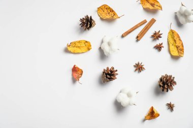Sonbahar kompozisyonu. Çam kozalaklarından yapılmış çerçeve, tarçın çubukları, düşmüş yapraklar, beyaz arka planda pamuk. Sonbahar, sonbahar konsepti. Düz yatış, üst görünüm
