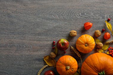 Şükran Günü ya da hasat geçmişi. Kabaklar, cevizler, kuru yapraklar, kırsal ahşap masada elma. Düz konum, üst görünüm, kopyalama alanı.