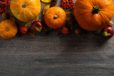 Sonbahar kompozisyonu. Çerçeve kenarı kabaklardan, sonbahar meyvelerinden, fındıklar koyu ahşap masada. Hasat ya da Şükran Günü konsepti. Düz konum, üst görünüm, kopyalama alanı
