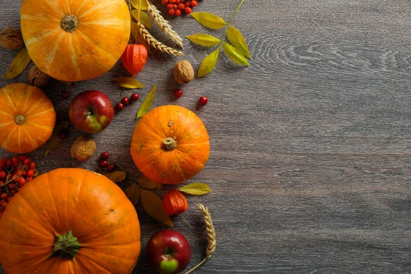 Şükran Günü geçmişi. Sonbahar kompozisyonu olgun balkabakları, sonbahar meyveleri ve koyu ahşap masa üzerindeki kuru yapraklar. Düz konum, üst görünüm, kopyalama alanı.