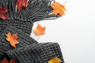 Beyaz arka planda örülü eşarp ve kuru akçaağaç yaprakları. Düz yerde, üst tarafta. Sonbahar modası, hygge, İskandinav tarzı.