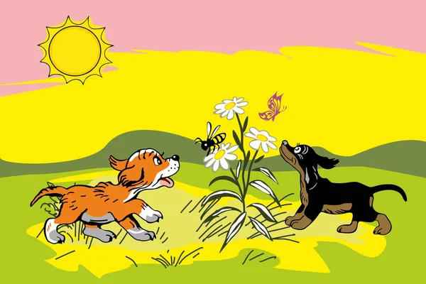 Küçük komik köpekler ve böcekler