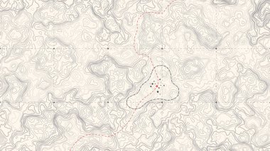 Vintage detaylı kontur topografik harita vektör