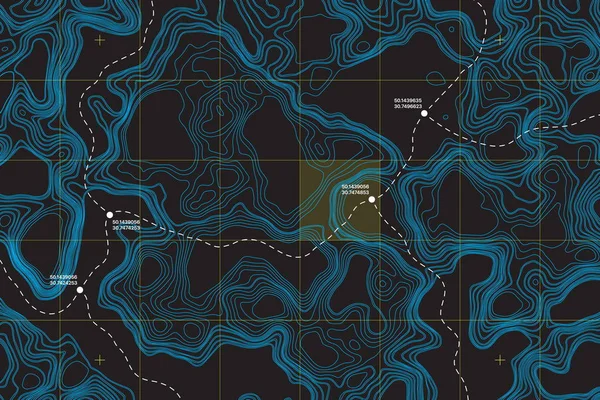 Konceptuell vektor topografisk karta — Stock vektor