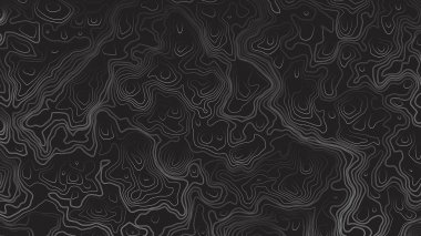 Topografik Kontur Haritası Çizgi Sanat Soyut Arka Plan