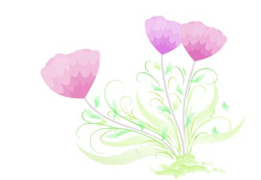 Bir suluboya çiçek, beyaz arka planda - çizim çizim