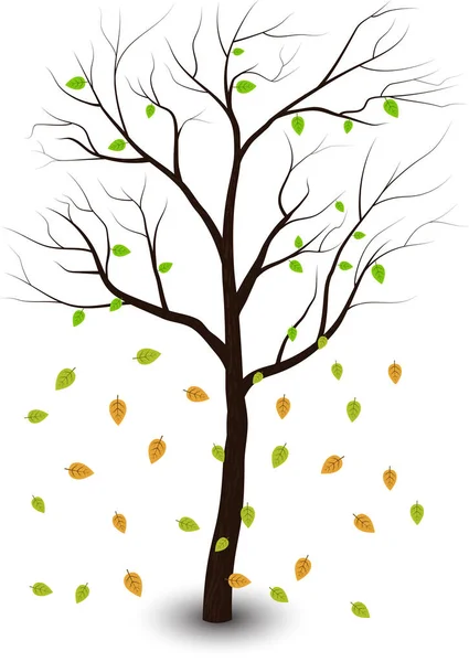 Árboles Con Hojas Caen Otoño — Vector de stock