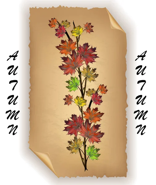 Branch Colorful Maple Autumn Leaves Background Old Paper — Stock Vector