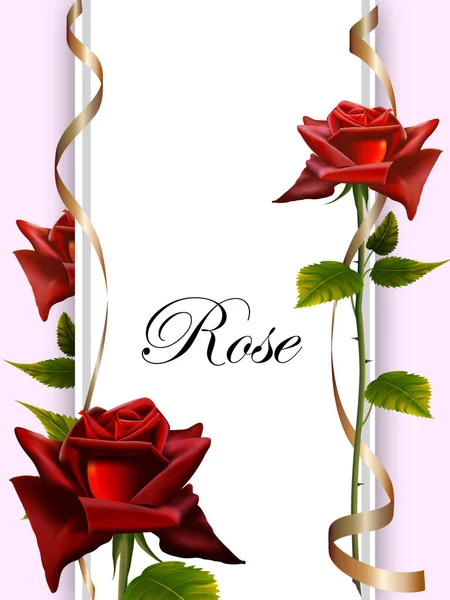 Marco de flores de rosas rojas con cintas de oro, rosas rojas, hojas verdes y cinta rizada, tarjeta de San Valentín o invitación a la boda aislado en el fondo — Vector de stock