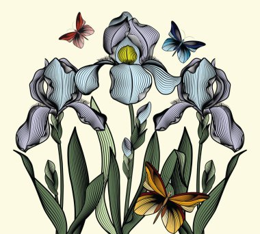 Pastel renkli kelebekler ile üç hassas konturlu süsen