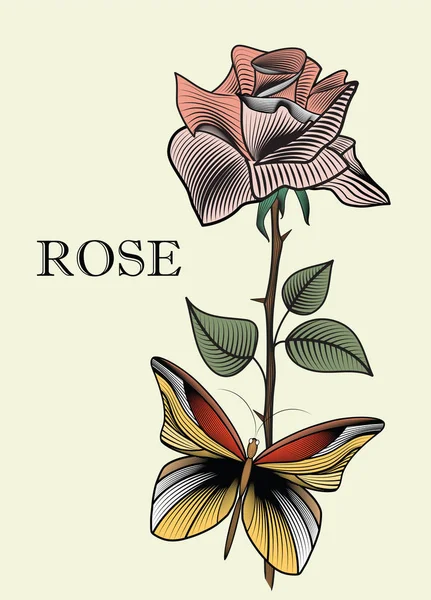 Delikatny róż w pastelowych kolorach z motyl — Wektor stockowy