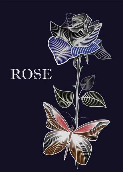 Description d'un contour Rose douce avec un papillon, une rose douce remplie de traits — Image vectorielle