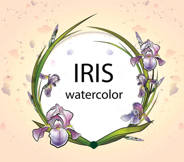 Corona delicada de iris con brotes enmarcados por hojas verdes — Vector de stock
