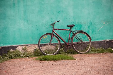  Bisiklet yeşil duvarı. Spor, sağlıklı yaşam tarzı. Açık havada dinlenme etkinliği.