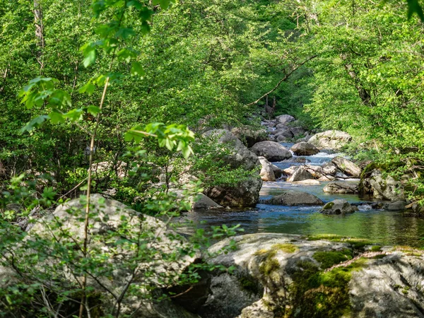 Riale Pianezzoli Stream Val Grande National Park Piedmont Italy — Stock Photo, Image