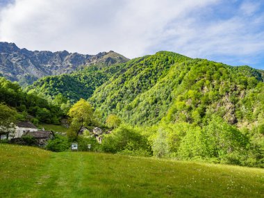 Pogallo geç bahar, Val Grande Milli Parkı, Piedmont, İtalya