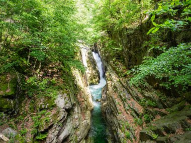 Rio Pogallo akışında Val Grande Milli Parkı'nda, Piedmont, İtalya geçit