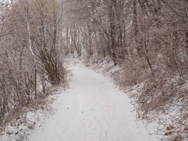 Monte San Primo kışın, Lombardy, İtalya için yürüyüş yolu