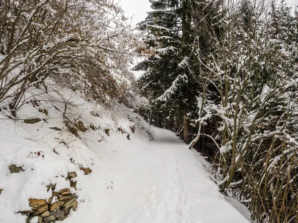 Hiking Trail Pizzo Pernice Valgrande National Park Piedmont Italy — Zdjęcie stockowe