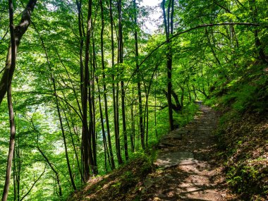Görünüm Hiking Trail Val Grande Milli Parkı'nda, Piedmont, İtalya