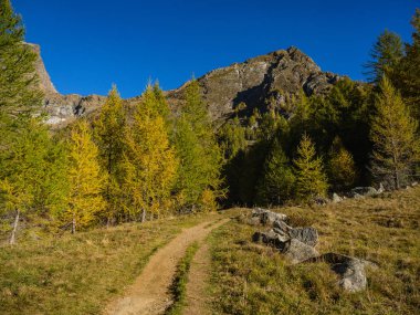 Crampiolo Alpe Veglia ve Alpe Devero Tabiat Parkı, Piedmont, İtalya için yol hiking