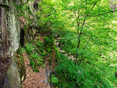 Hiking Trail from Cicogna to Pogallo in Val Grande National Park, Piedmont, Italy