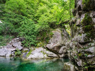 Pogallo Val Grande Milli Parkı'nda, Piedmont, İtalya için Cicogna iz hiking üzerinde küçük köprü