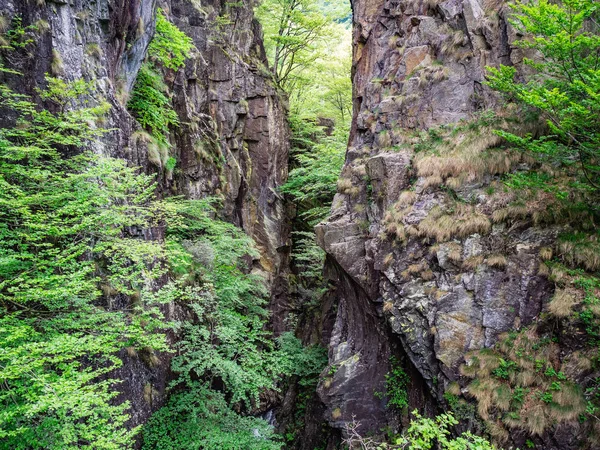 Gorge Rio Pogallo Stream Val Grande National Park Piedmont Italy — Stock Photo, Image