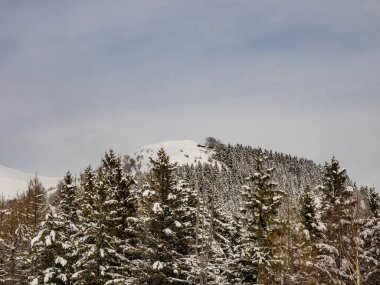 Pian Cavallone Valgrande Milli Parkı'nda, Piedmont, İtalya
