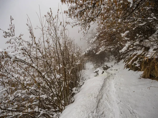 Hiking Trail Pizzo Pernice Valgrande National Park Piedmont Italy — Zdjęcie stockowe
