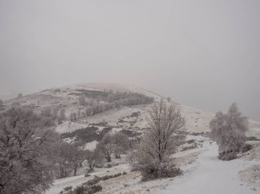 Monte San Primo kışın, Lombardy, İtalya için yürüyüş yolu