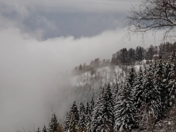 Fog Snow Valgrande National Park Piedmont Italy — Zdjęcie stockowe