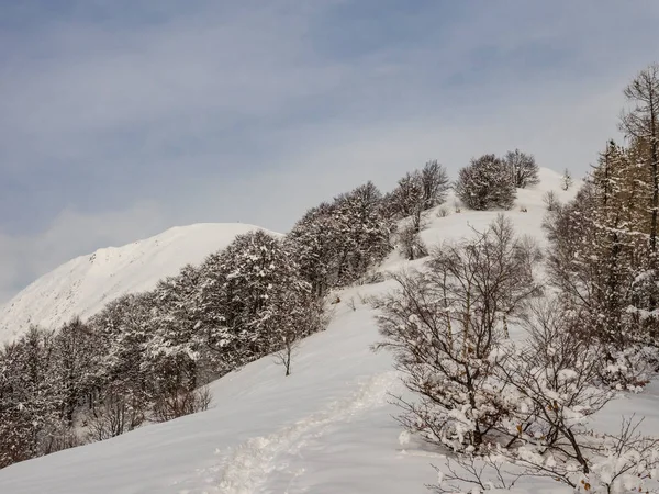 Szlak turystyczny do Monte Todano w parku narodowym Val Grande podczas — Zdjęcie stockowe