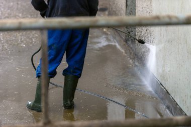Modern cowshed, adam çiftliğinde