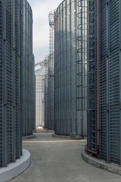 Grenier Spécialement Équipé Pour Stockage Long Terme Grain — Photo