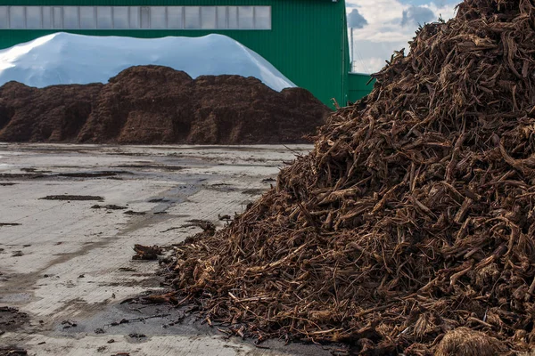 Usine Traitement Tourbe Entrepôt Matières Premières Produits Finis — Photo