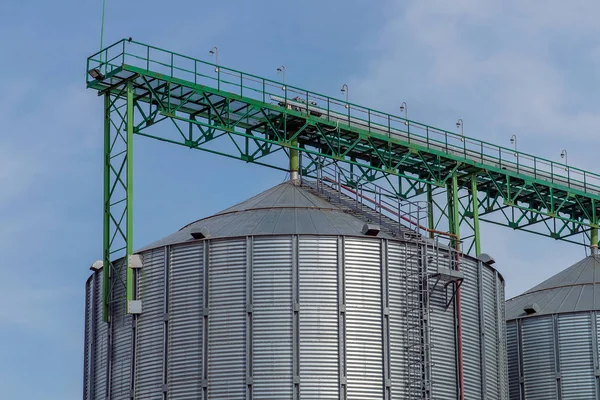 Granero Lugar Especialmente Equipado Para Almacenamiento Largo Plazo Grano —  Fotos de Stock