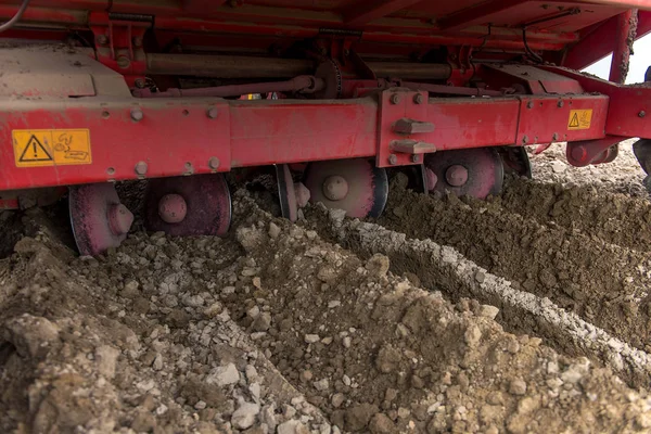 Recolección Patatas Los Campos Por Los Agricultores — Foto de Stock