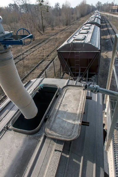 Chargement Grain Dans Les Wagons Ascenseur — Photo