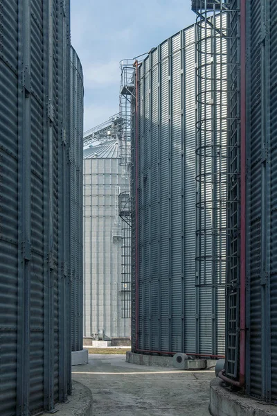 粮仓专为粮食长期贮存的地方 — 图库照片